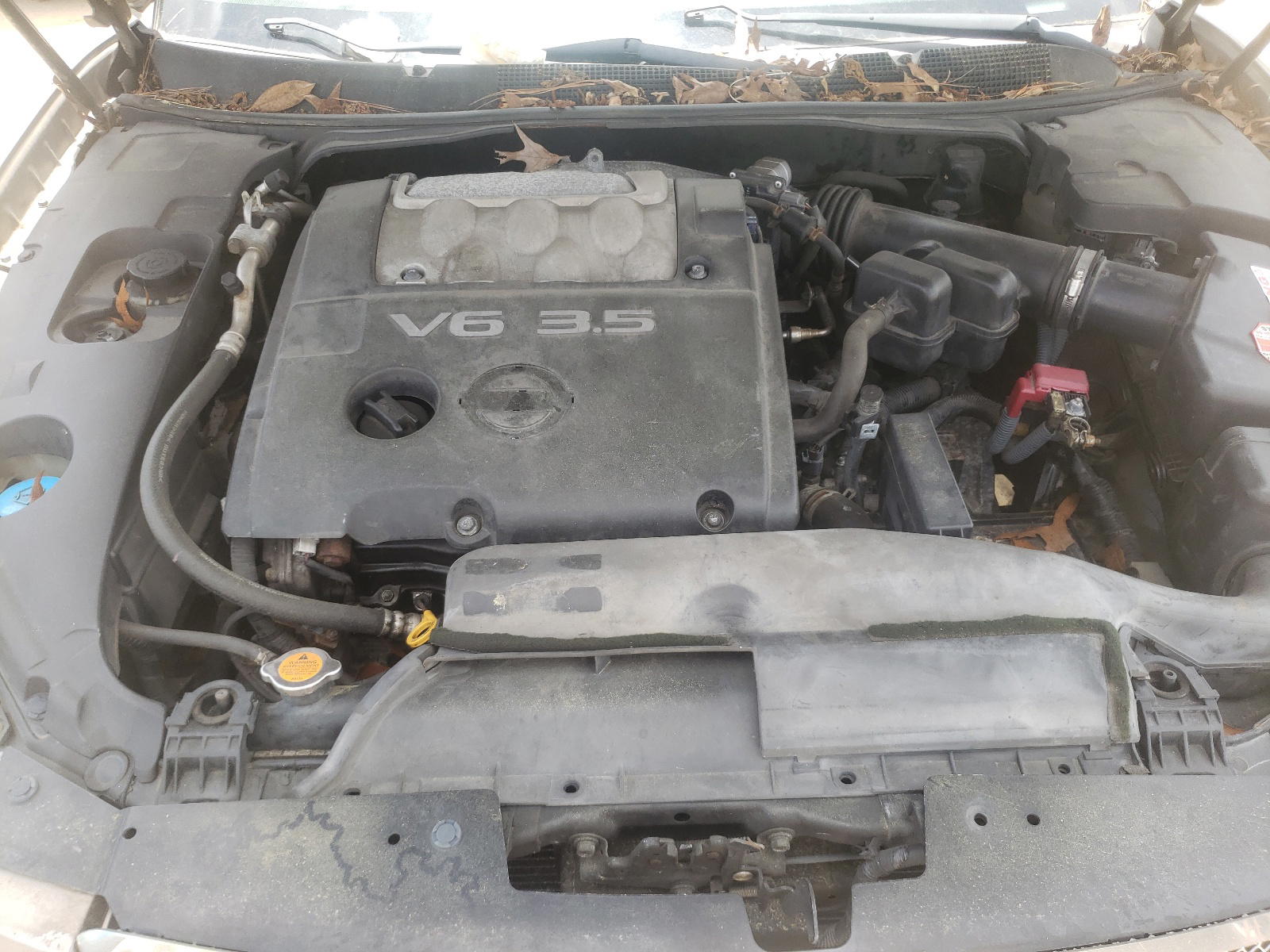 Photo 7 from auction – 2008 NISSAN MAXIMA SE with VIN 1N4BA41E48C811792