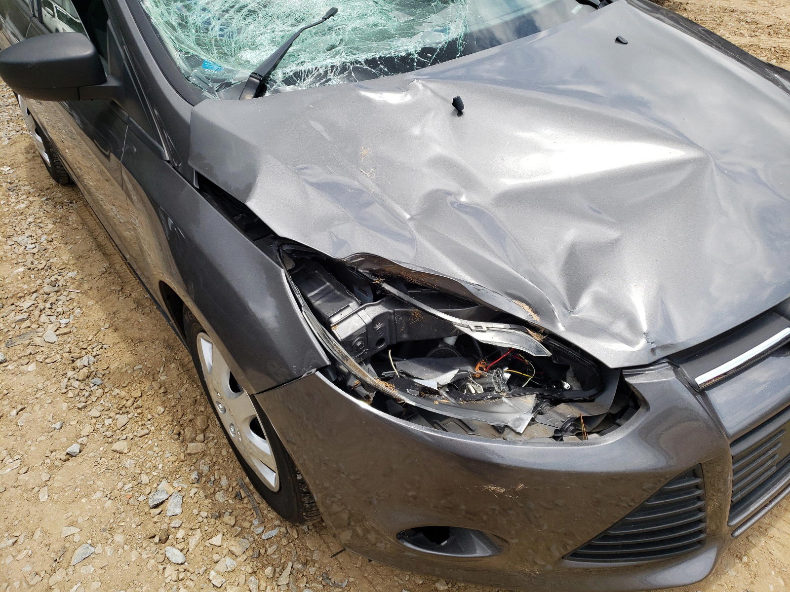 Photo 9 from auction – 2013 FORD FOCUS S with VIN 1FADP3E29DL111956
