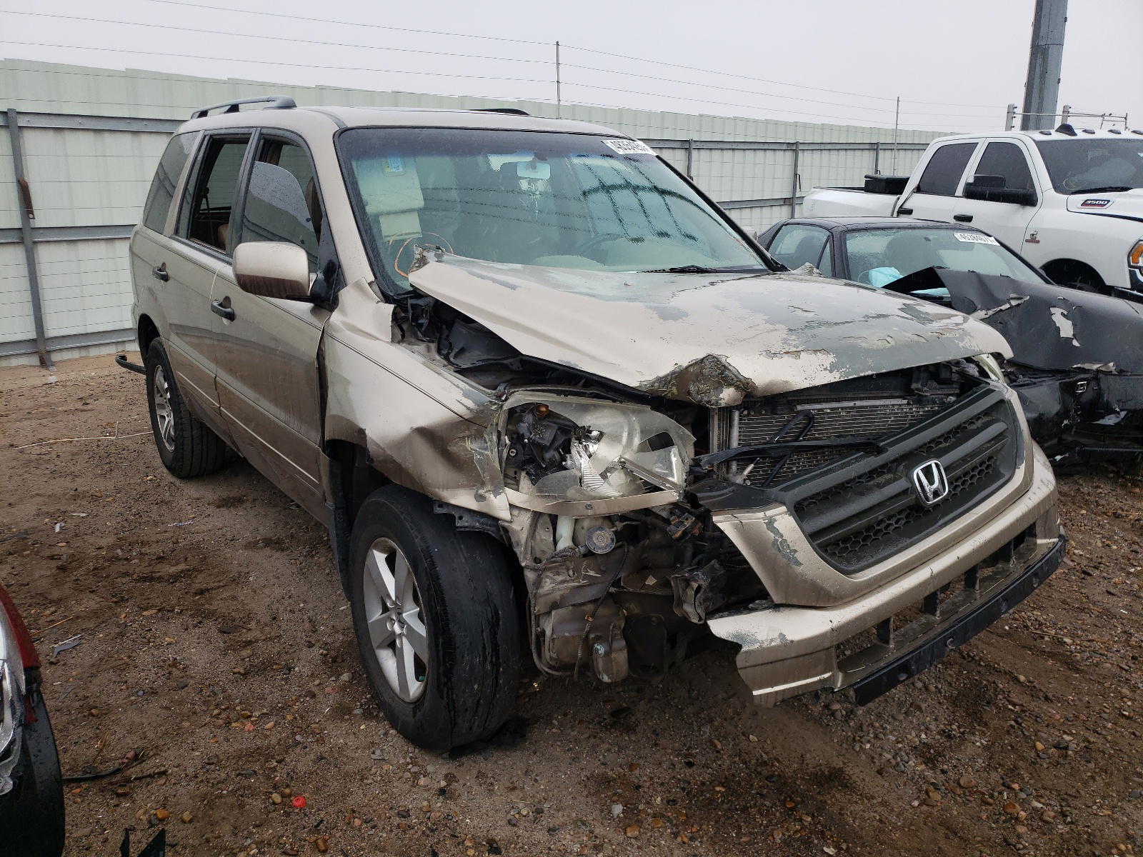 HONDA PILOT EXL 2005 with VIN 5FNYF18505B035055 - Photo from auction