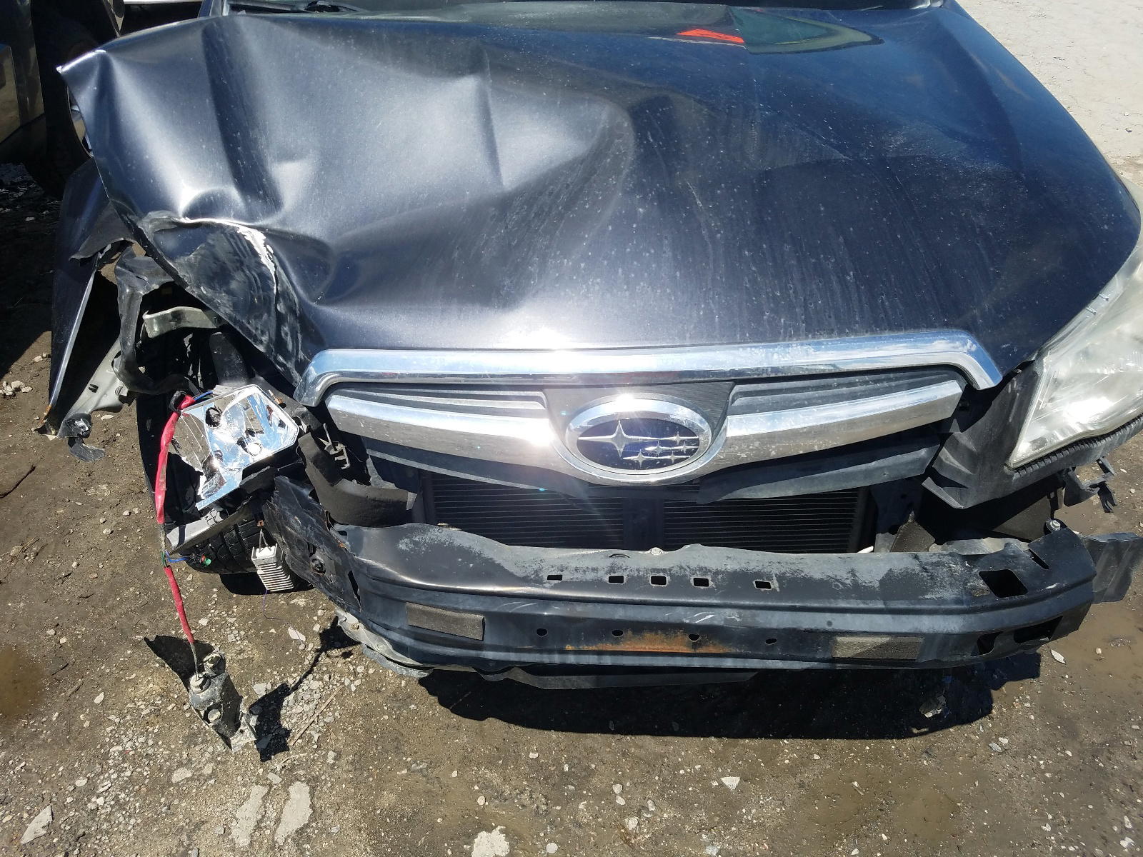 Photo 7 from auction – 2014 SUBARU FORESTER 2 with VIN JF2SJAHC7EH404370