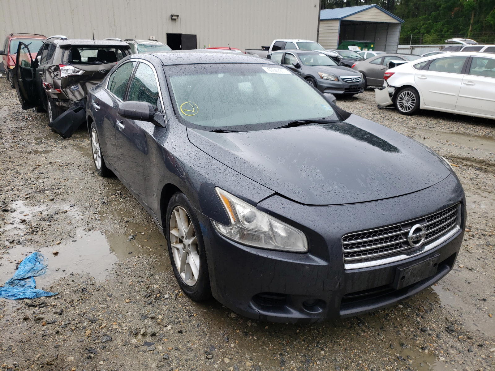 NISSAN MAXIMA S 2011 with VIN 1N4AA5AP5BC837862 - Photo from auction