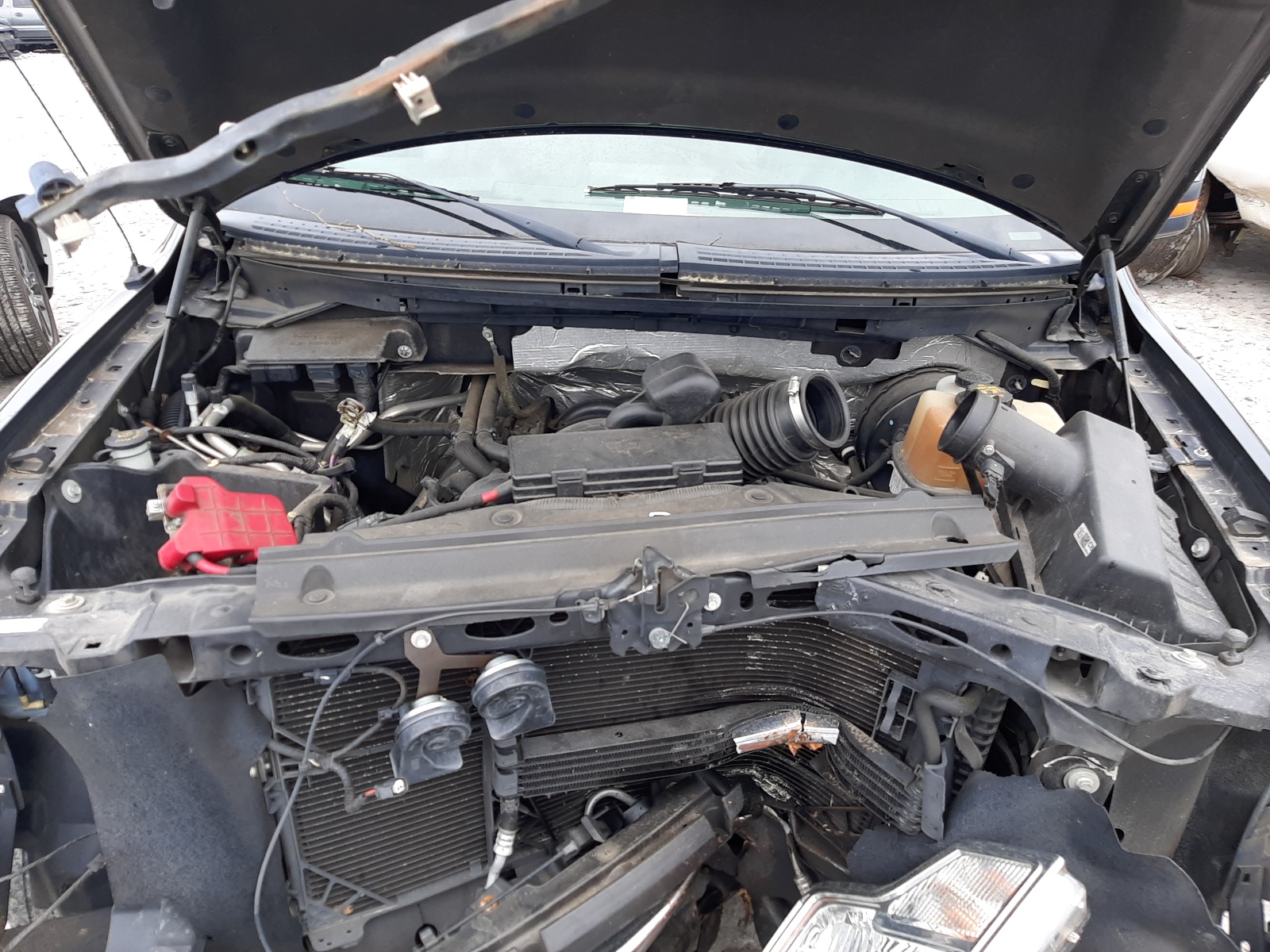 Фото 7 с аукциона – 2012 FORD F150 SUPER с VIN 1FTFX1CF9CFC16040