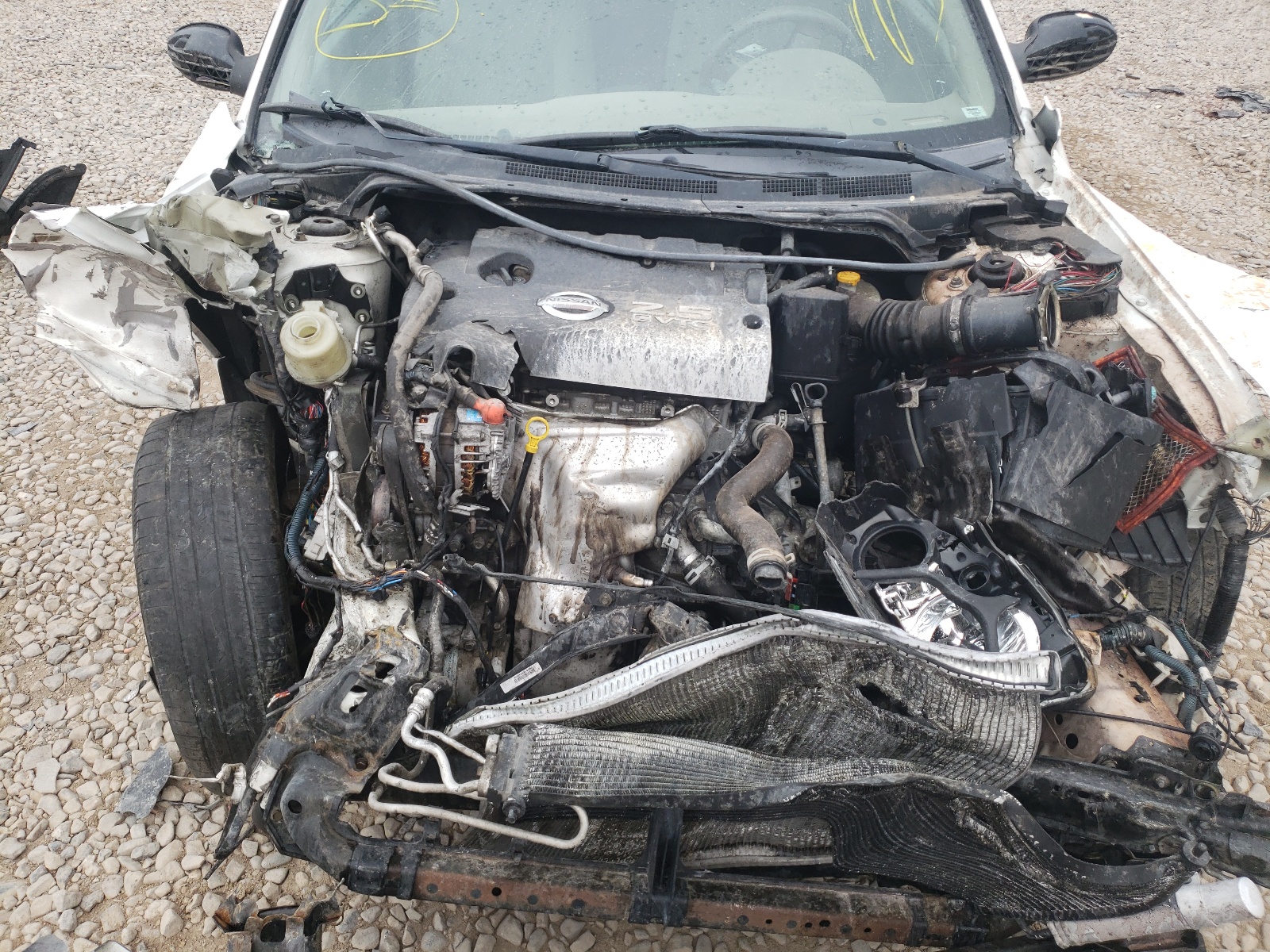 Photo 7 from auction – 2006 NISSAN ALTIMA with VIN 1N4AL11D66N313753