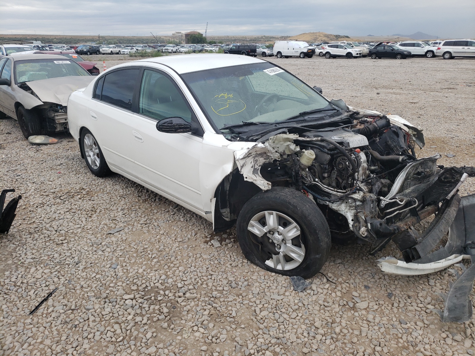 NISSAN ALTIMA 2006 with VIN 1N4AL11D66N313753 - Photo from auction