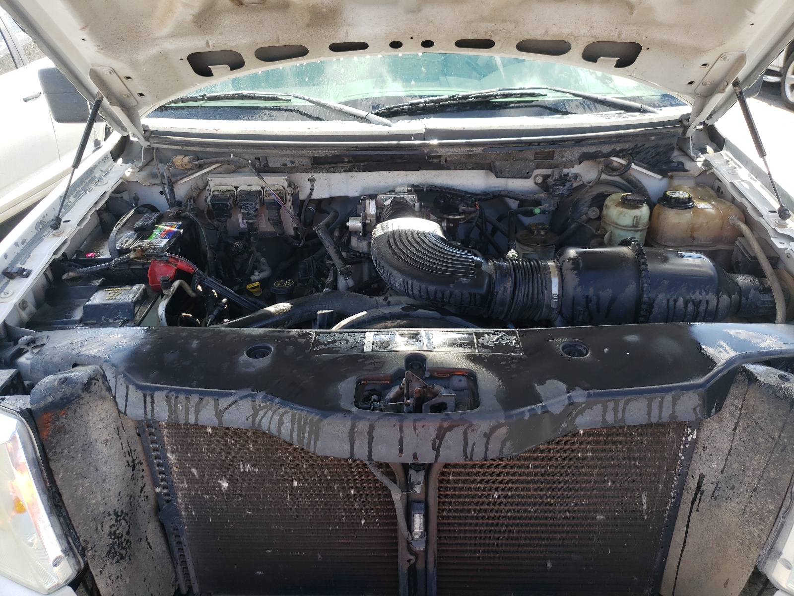 Photo 7 from auction – 2005 FORD F150 SUPER with VIN 1FTRW12W05KD37258