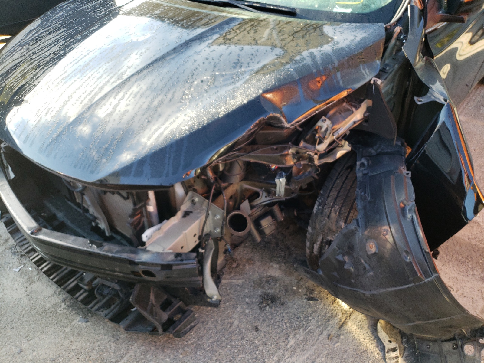 Photo 9 from auction – 2019 NISSAN SENTRA S with VIN 3N1AB7AP1KY253116