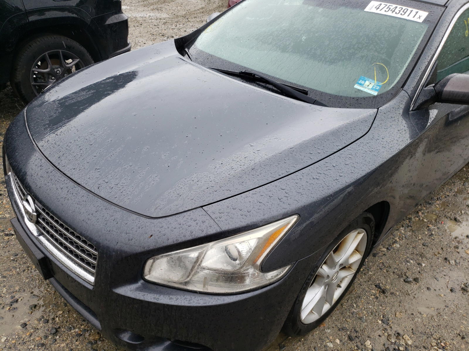Photo 9 from auction – 2011 NISSAN MAXIMA S with VIN 1N4AA5AP5BC837862