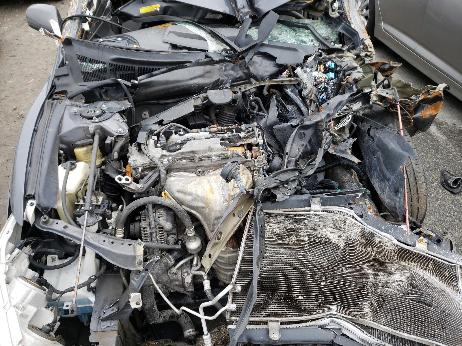 Photo 7 from auction – 2010 TOYOTA CAMRY BASE with VIN 4T1BF3EK6AU095477
