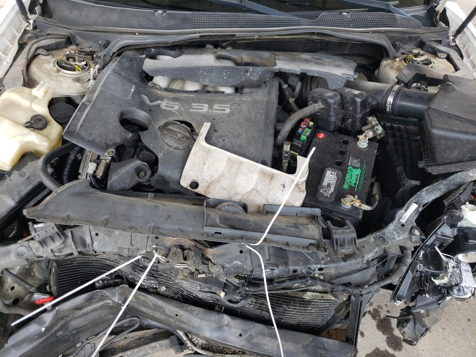 Photo 7 from auction – 2005 NISSAN MAXIMA SE with VIN 1N4BA41E55C851617