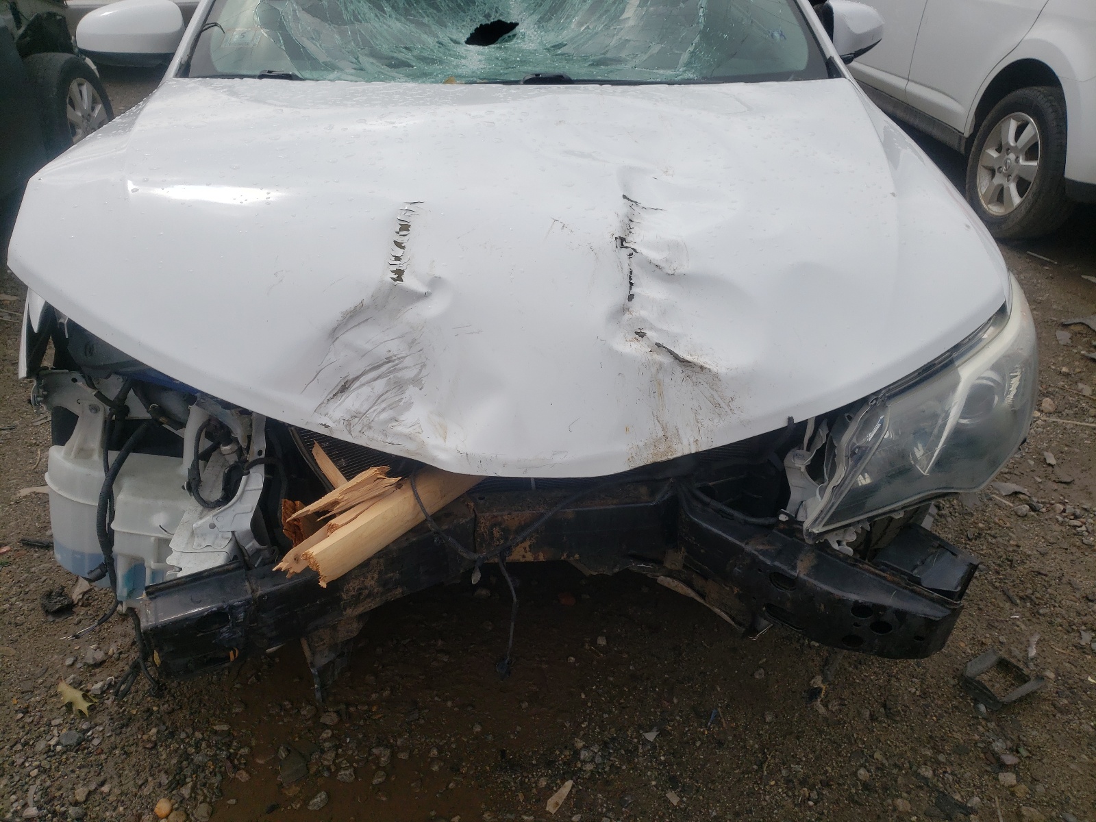 Photo 7 from auction – 2014 TOYOTA CAMRY L with VIN 4T1BF1FK0EU378207