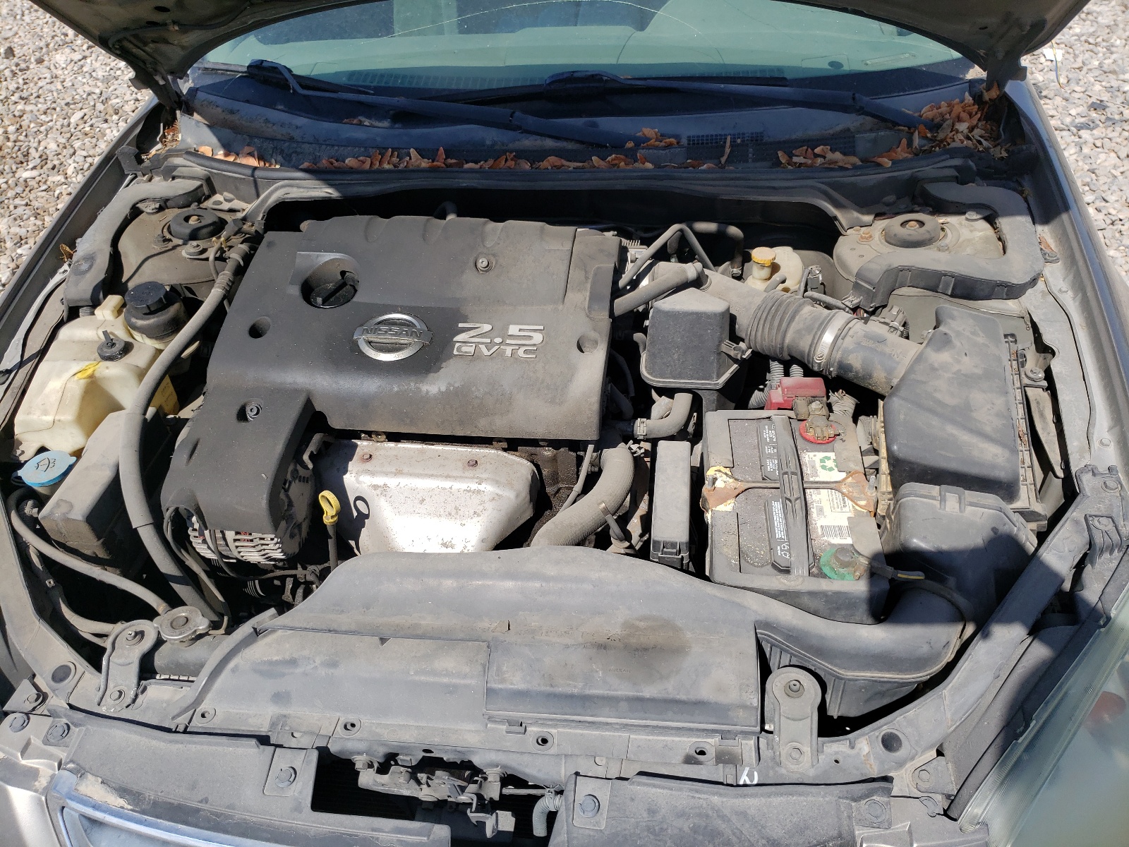 Photo 7 from auction – 2004 NISSAN ALTIMA BAS with VIN 1N4AL11DX4C180455