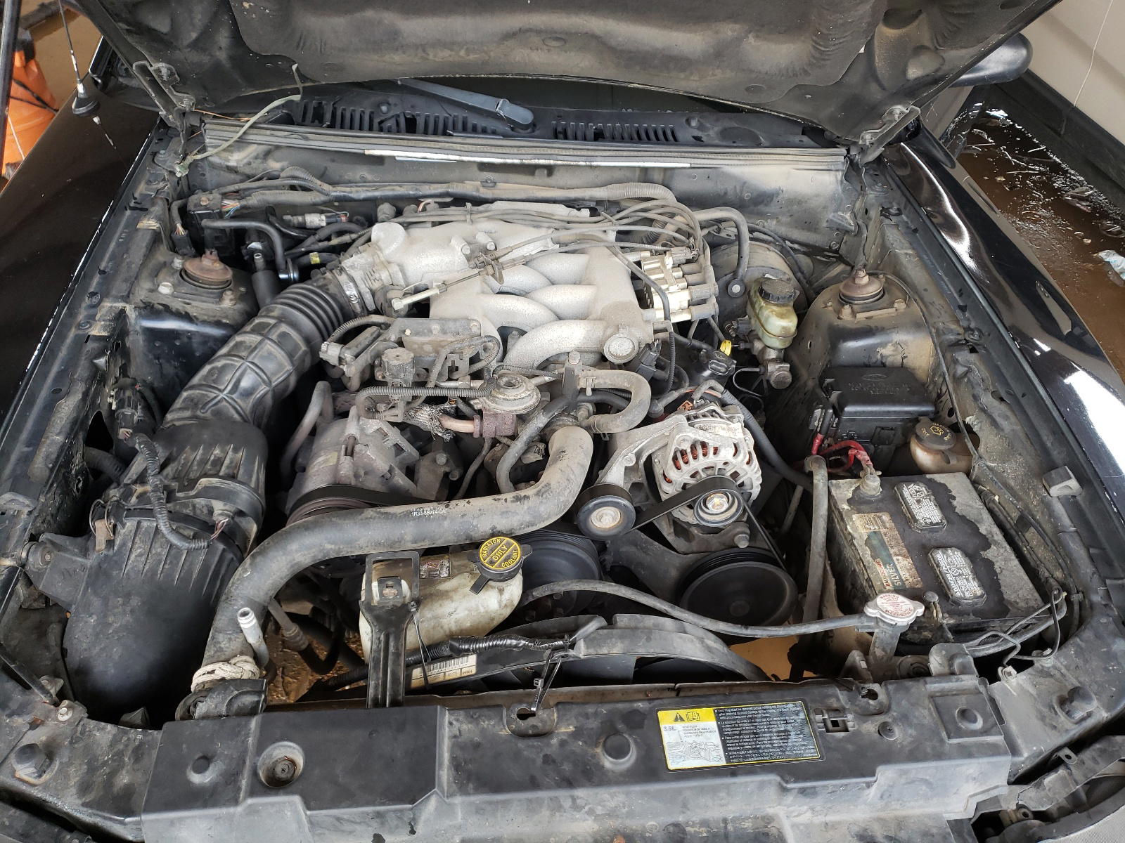 Photo 7 from auction – 2003 FORD MUSTANG with VIN 1FAFP40483F310212