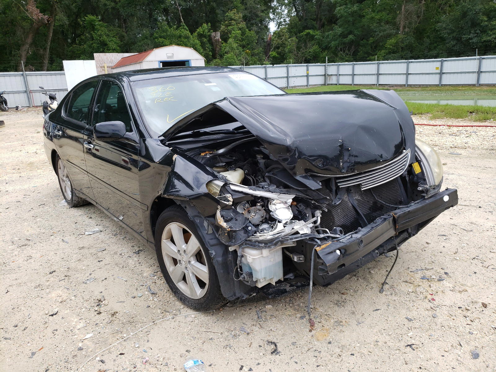 LEXUS ES 330 2005 with VIN JTHBA30G955124555 - Photo from auction