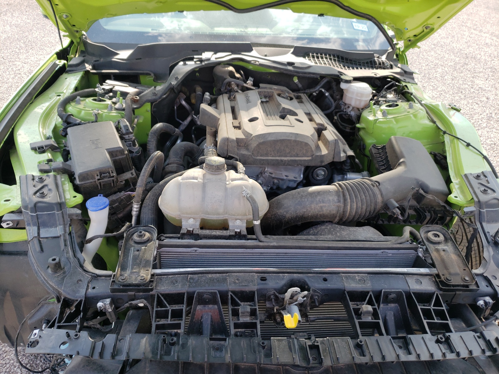 Photo 7 from auction – 2020 FORD MUSTANG with VIN 1FA6P8TH8L5154572