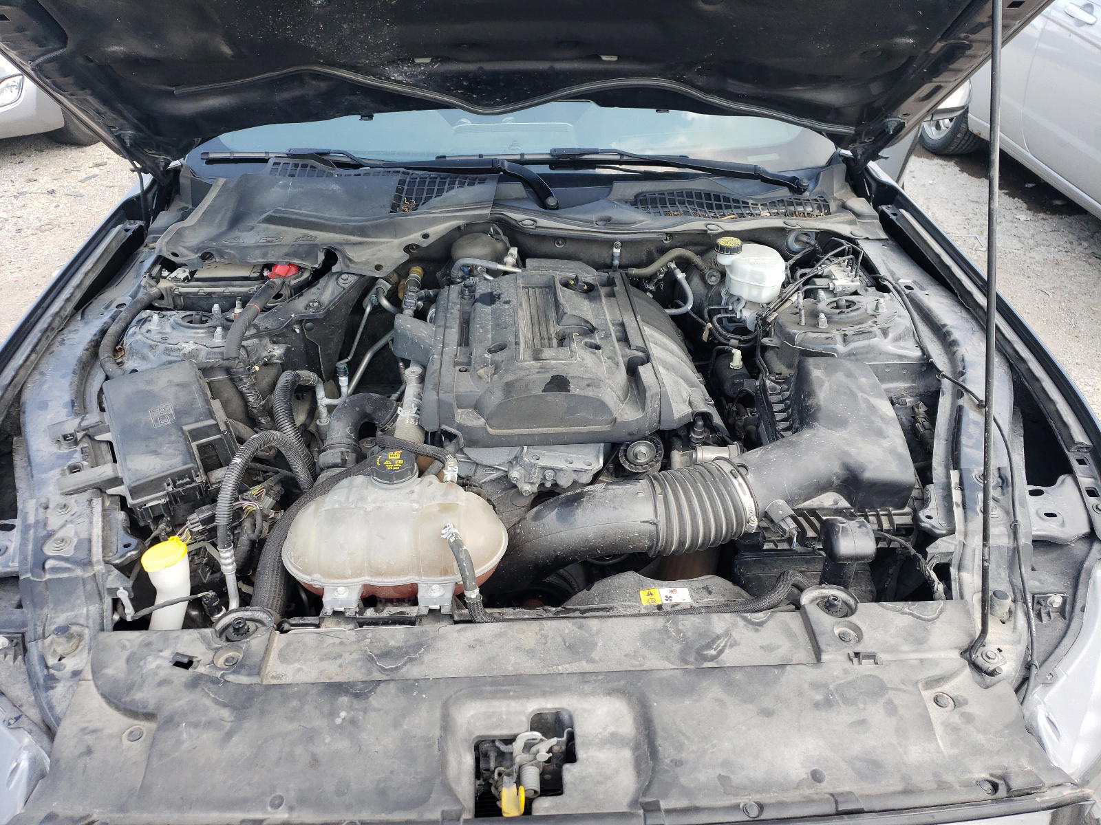 Photo 7 from auction – 2017 FORD MUSTANG with VIN 1FA6P8TH0H5323331