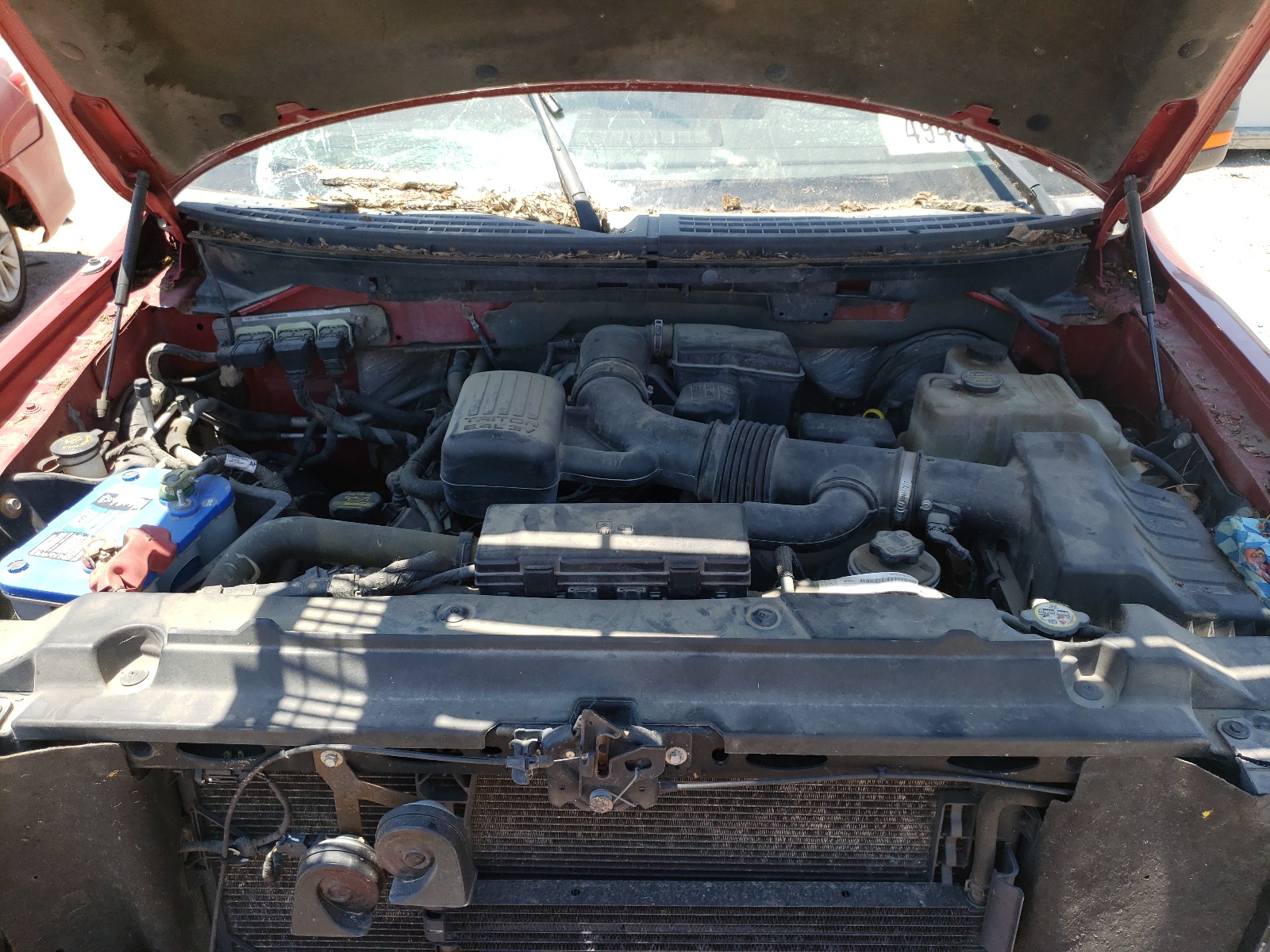 Photo 7 from auction – 2009 FORD F150 SUPER with VIN 1FTPX14V49FA12555