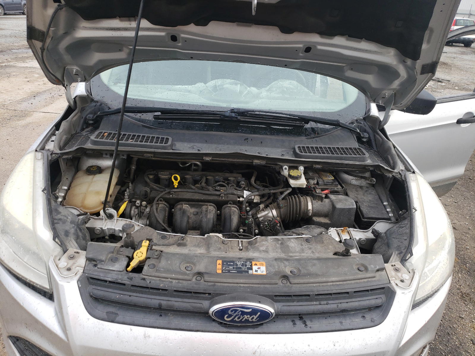 Photo 7 from auction – 2014 FORD ESCAPE S with VIN 1FMCU0F71EUB22108
