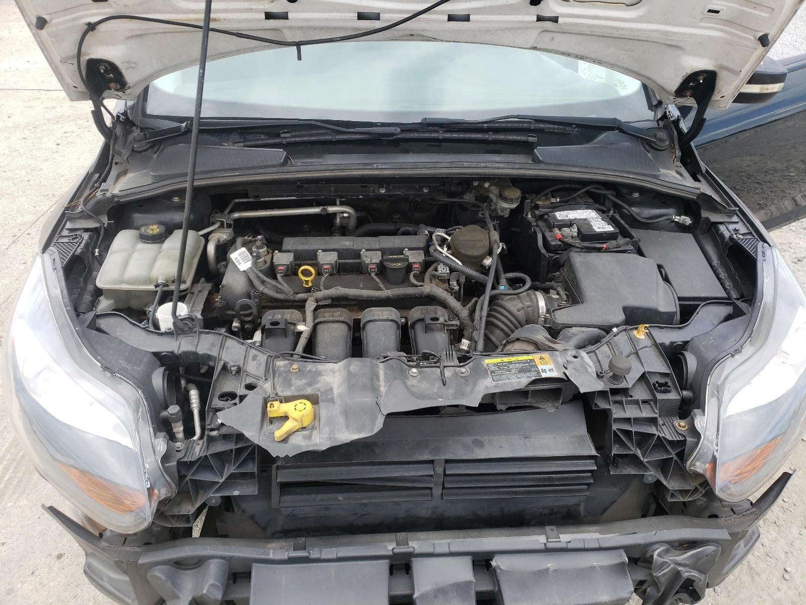 Photo 7 from auction – 2014 FORD FOCUS SE with VIN 1FADP3F25EL353384