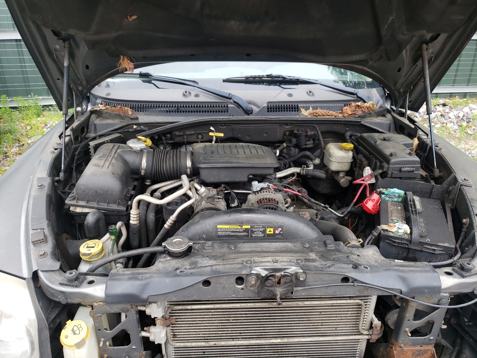 Photo 7 from auction – 2006 DODGE DAKOTA QUA with VIN 1D7HW48N96S664843