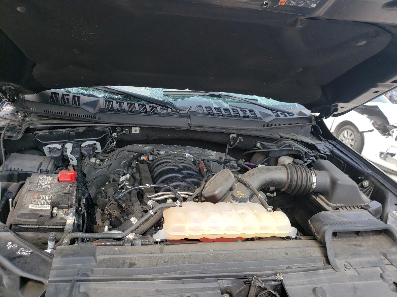 Photo 7 from auction – 2018 FORD F150 SUPER with VIN 1FTFX1E50JFC13027