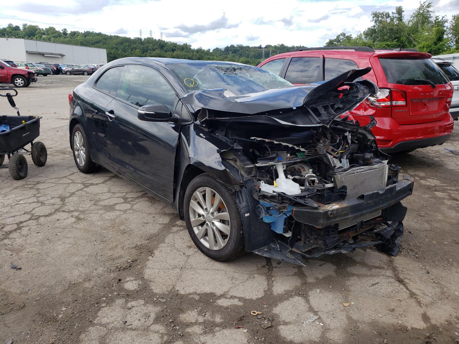 KIA FORTE EX 2014 with VIN KNAFX6A89E5202534 - Photo from auction