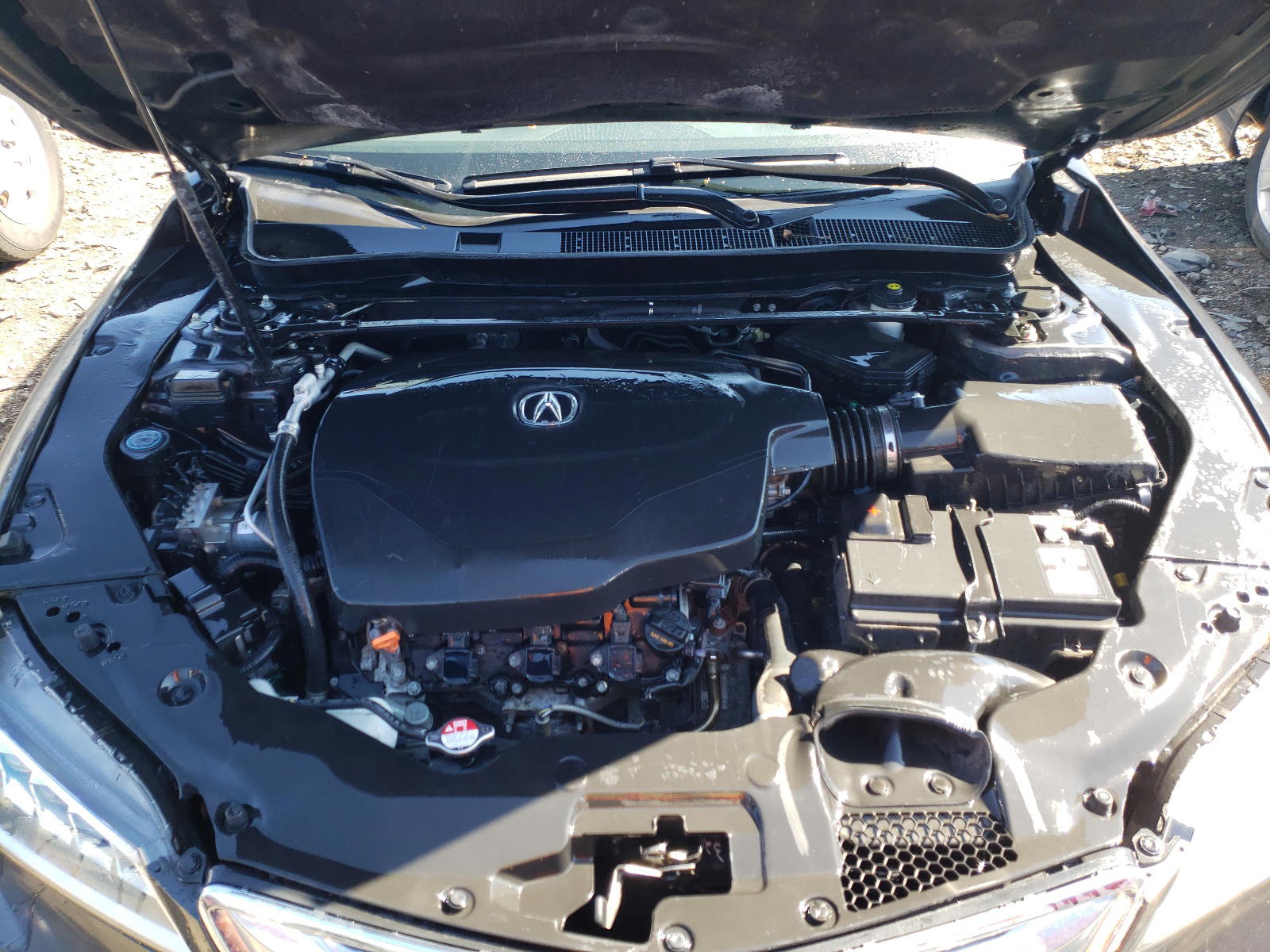 Photo 7 from auction – 2015 ACURA TLX TECH with VIN 19UUB3F51FA006359