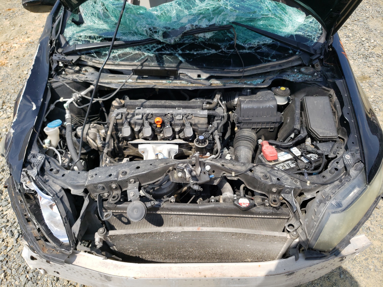 Zdjęcie 7 z aukcji – 2012 HONDA CIVIC LX z VIN 2HGFB2F56CH322419