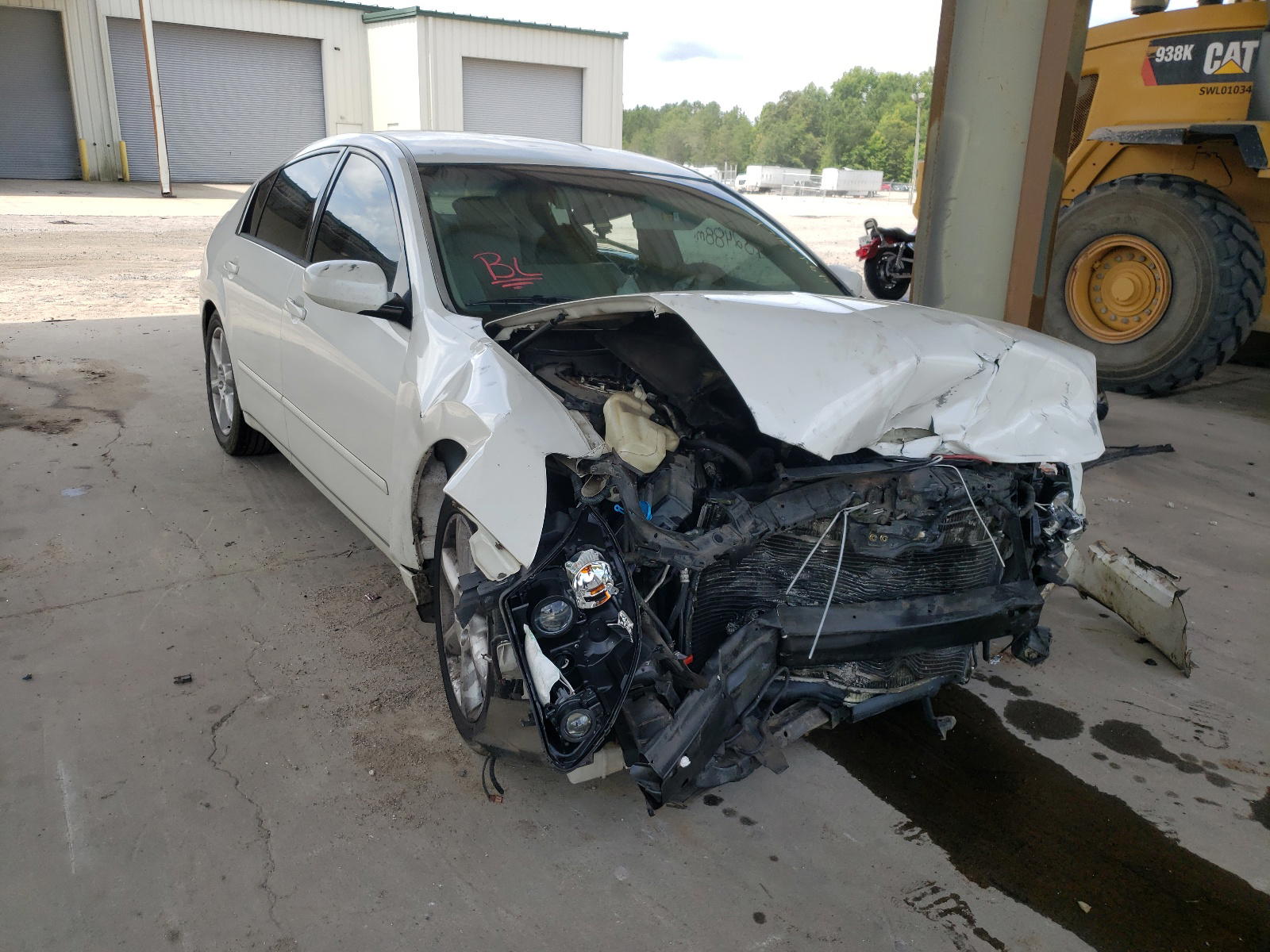 NISSAN MAXIMA SE 2005 with VIN 1N4BA41E55C851617 - Photo from auction