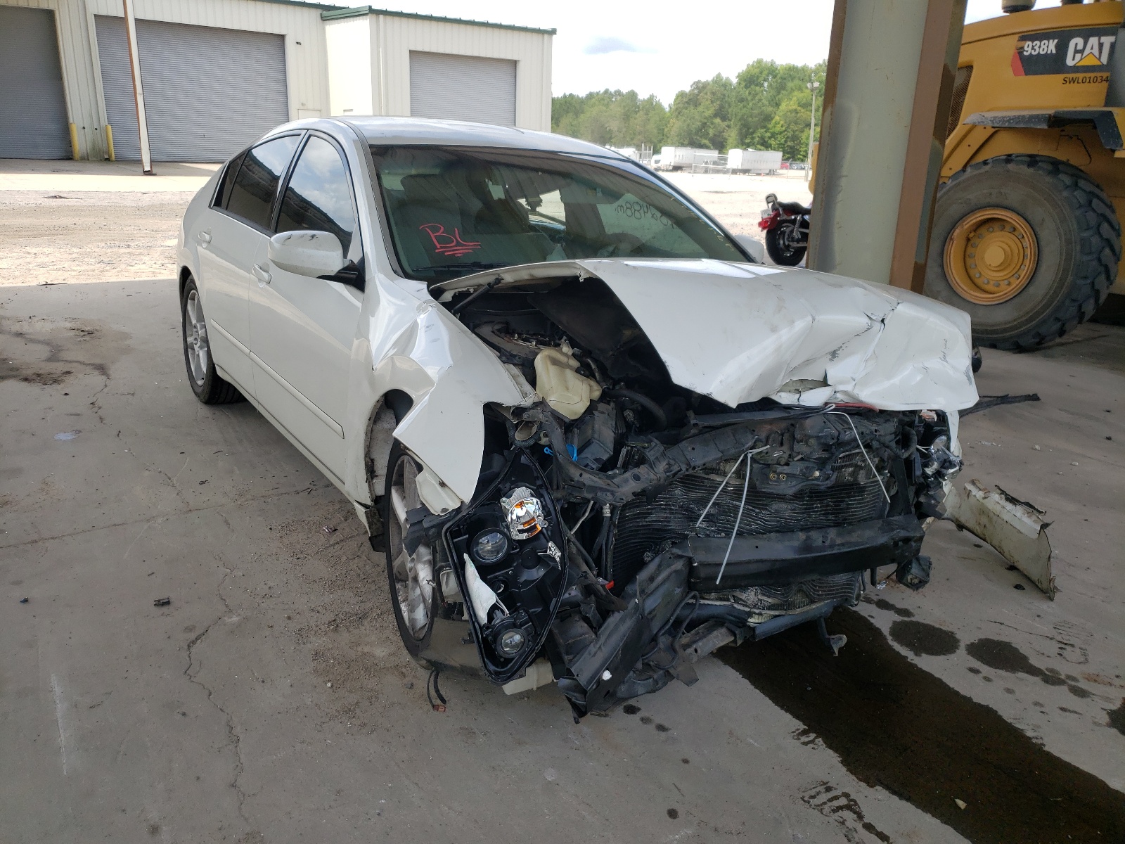 NISSAN MAXIMA SE 2005 z numerem VIN 1N4BA41E55C851617 - Zdjęcie z aukcji