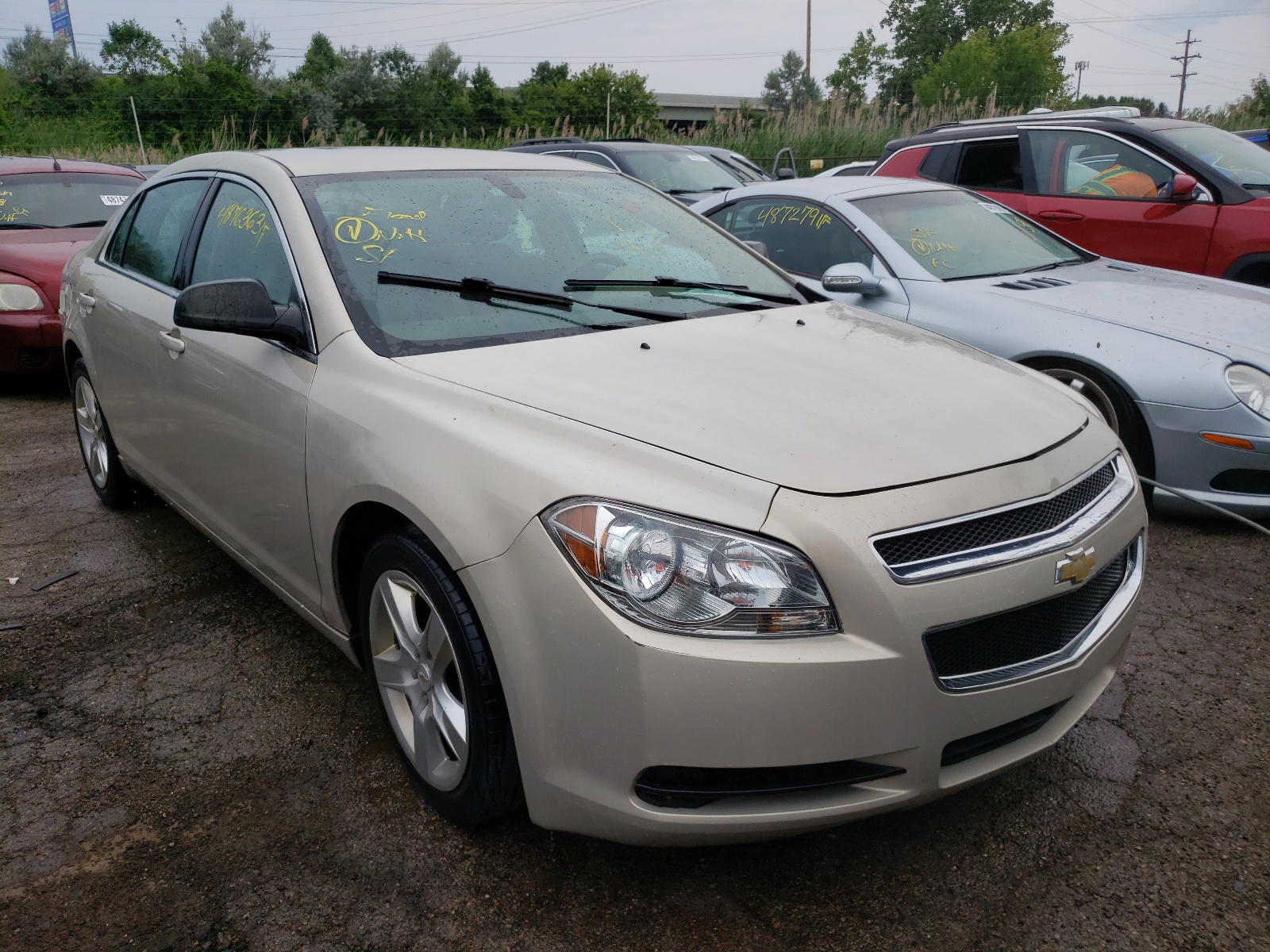 CHEVROLET MALIBU LS 2012 with VIN 1G1ZB5E05CF260511 - Photo from auction
