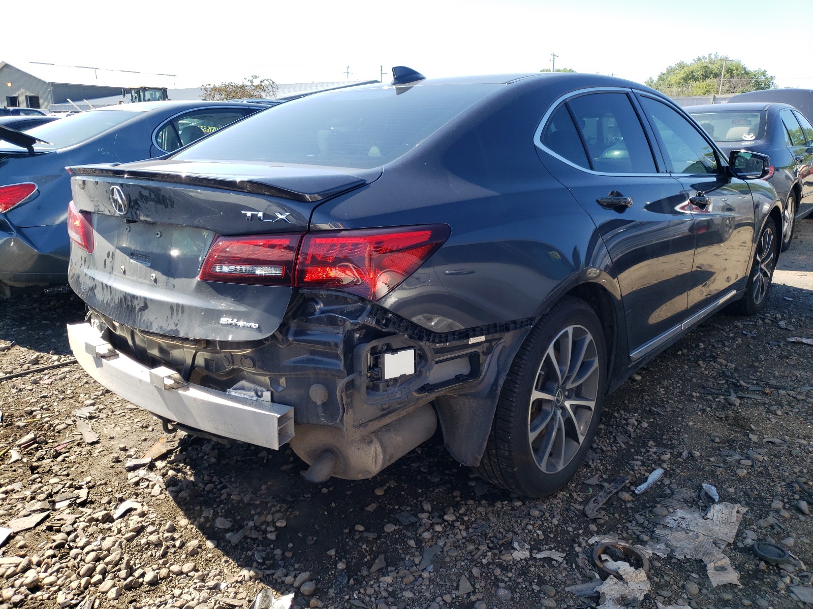 Фото 4 с аукциона – 2015 ACURA TLX TECH с VIN 19UUB3F51FA006359