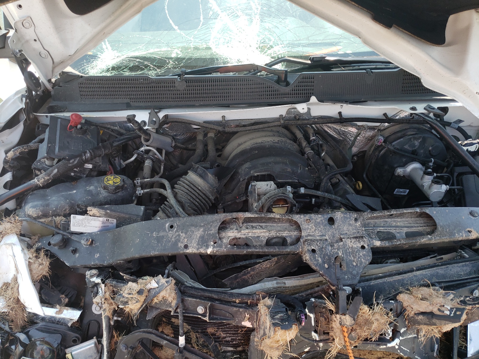 Photo 7 from auction – 2018 CHEVROLET SILVERADO with VIN 1GCRCNEH2JZ287848