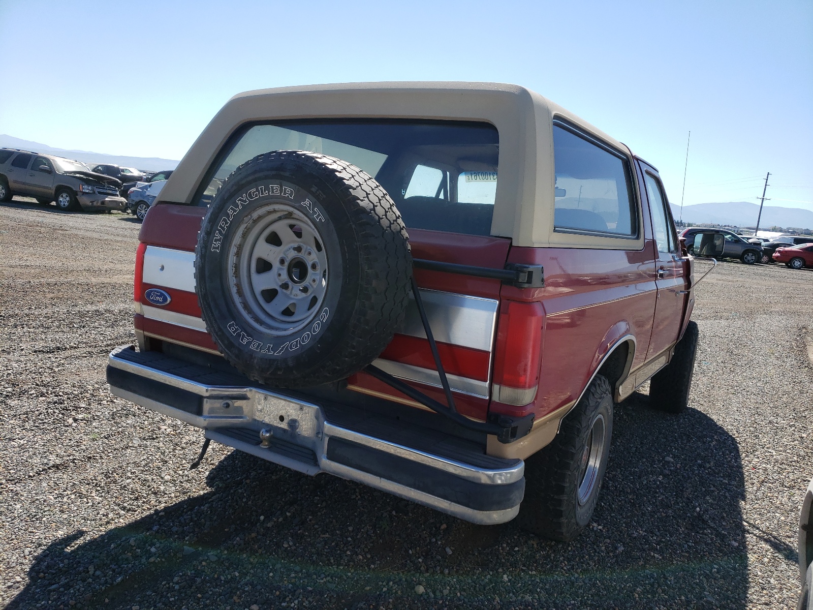 Photo 4 from auction – 1989 FORD BRONCO U10 with VIN 1FMEU15N9KLB29307