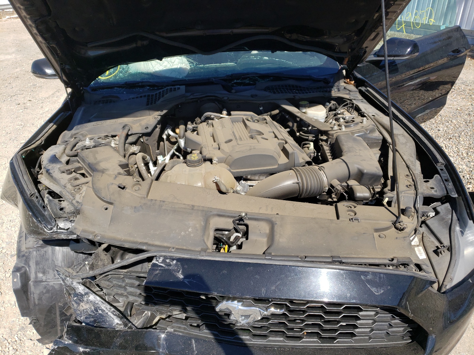 Photo 7 from auction – 2015 FORD MUSTANG with VIN 1FATP8UH5F5376959