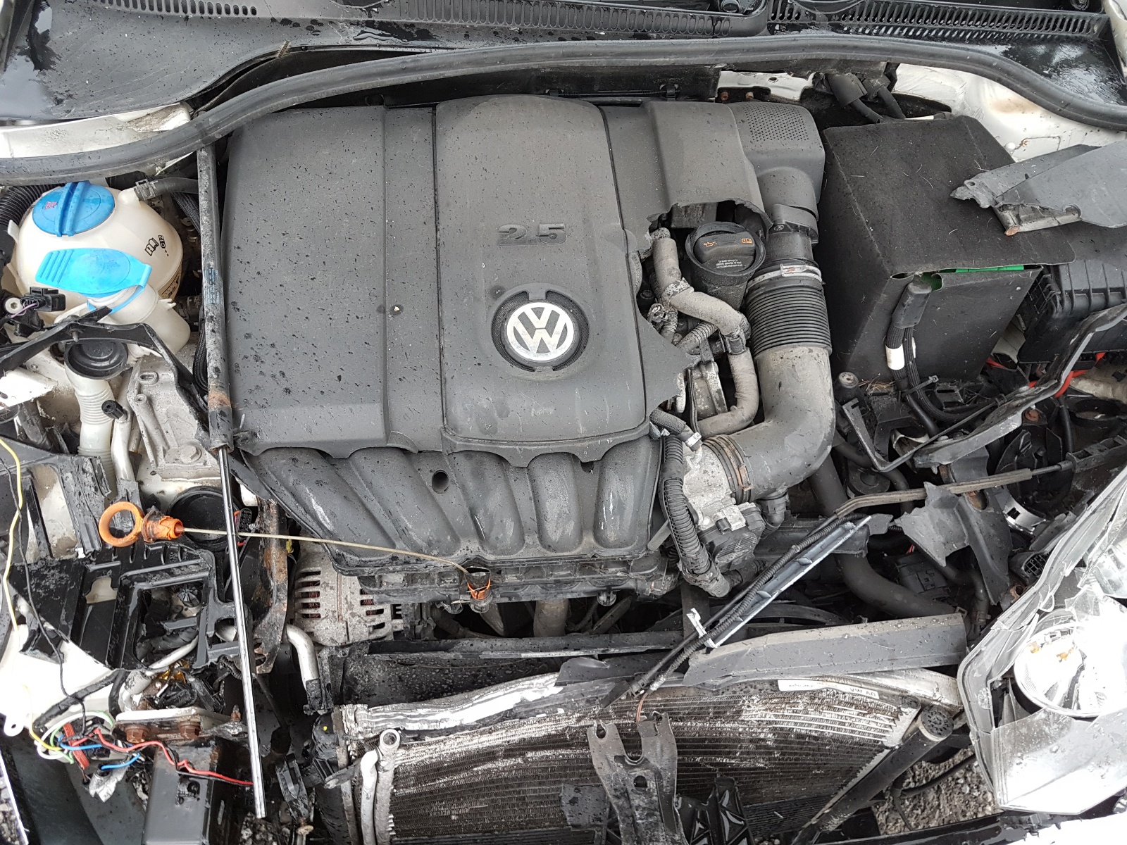 Photo 7 from auction – 2012 VOLKSWAGEN GOLF with VIN WVWDA7AJ8CW011005