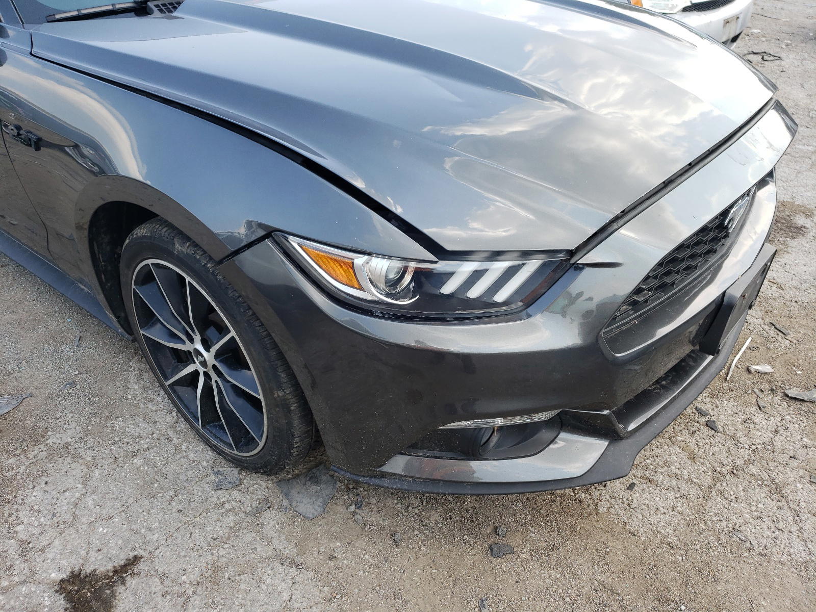 Photo 9 from auction – 2017 FORD MUSTANG with VIN 1FA6P8TH0H5323331