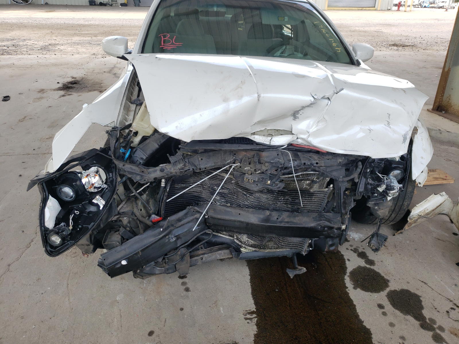 Photo 9 from auction – 2005 NISSAN MAXIMA SE with VIN 1N4BA41E55C851617