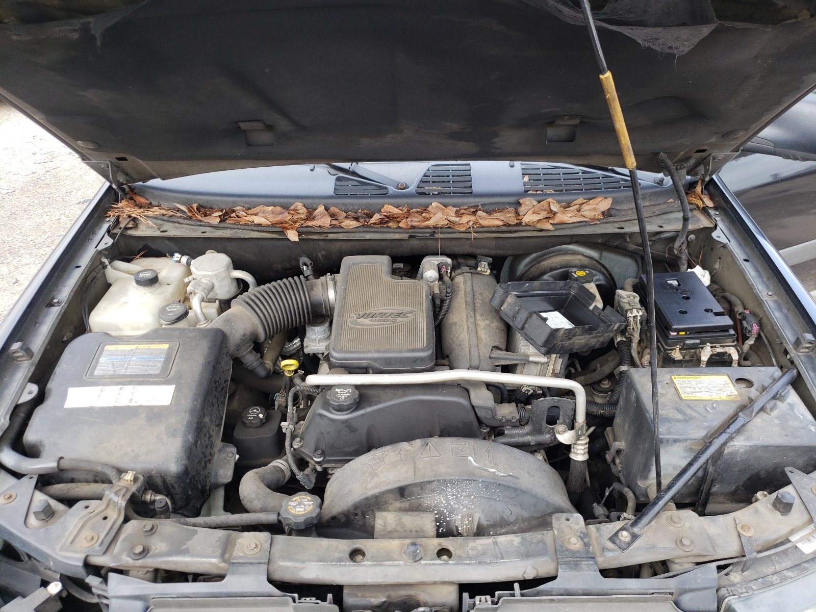Photo 7 from auction – 2005 CHEVROLET TRAILBLAZE with VIN 1GNDS13SX52107221