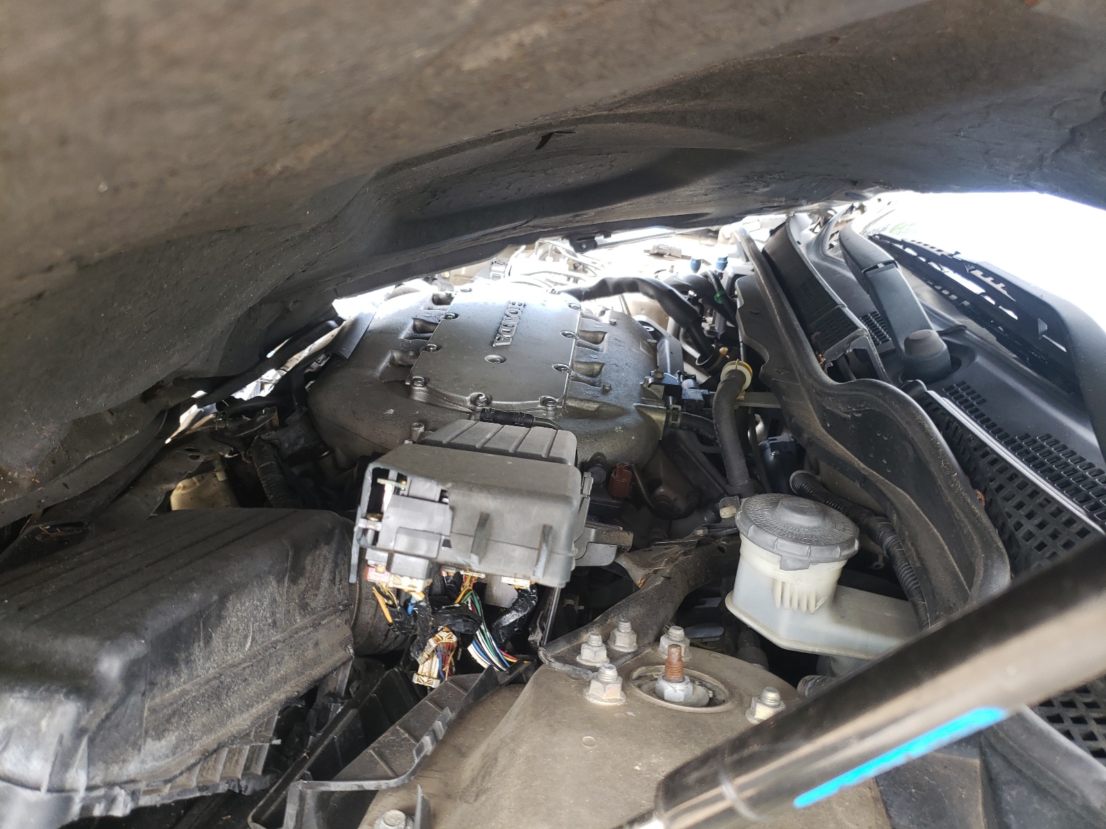Photo 7 from auction – 2004 HONDA ACCORD EX with VIN 1HGCM66514A078019