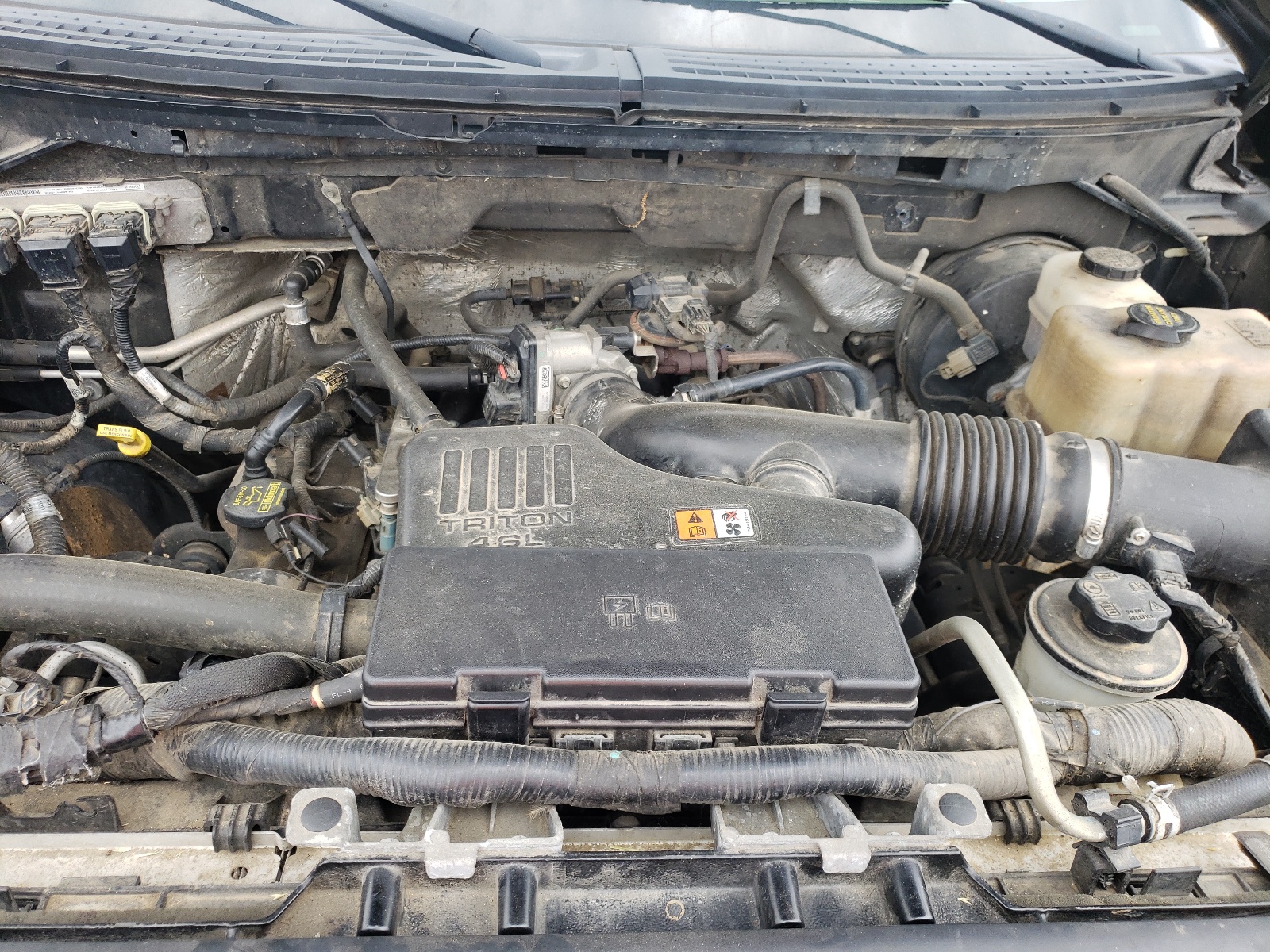 Photo 7 from auction – 2010 FORD F150 SUPER with VIN 1FTEX1CW3AFC55411