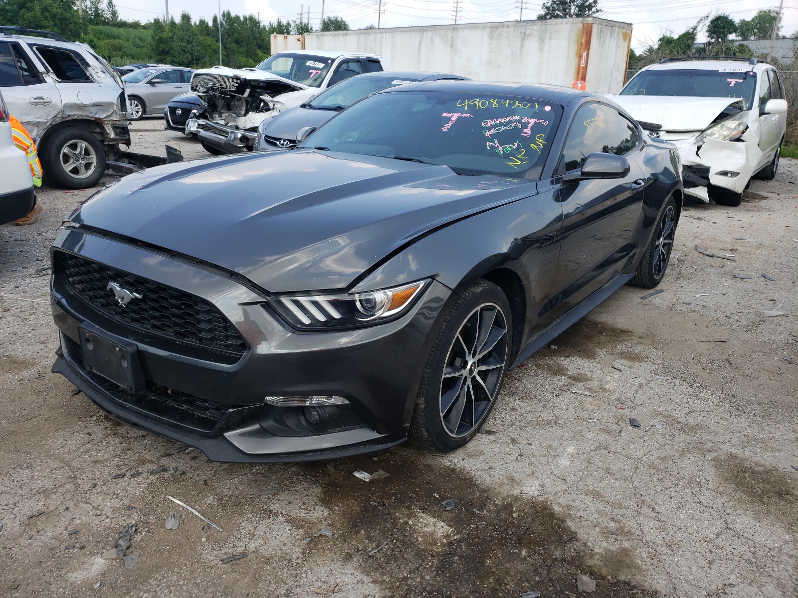 صورة رقم 2 من المزاد - 2017 FORD MUSTANG مع VIN 1FA6P8TH0H5323331