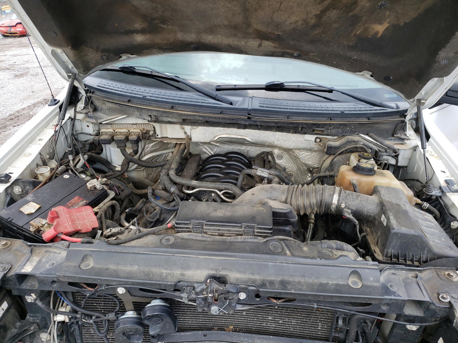 Photo 7 from auction – 2013 FORD F150 SUPER with VIN 1FTFW1EF3DKD20063