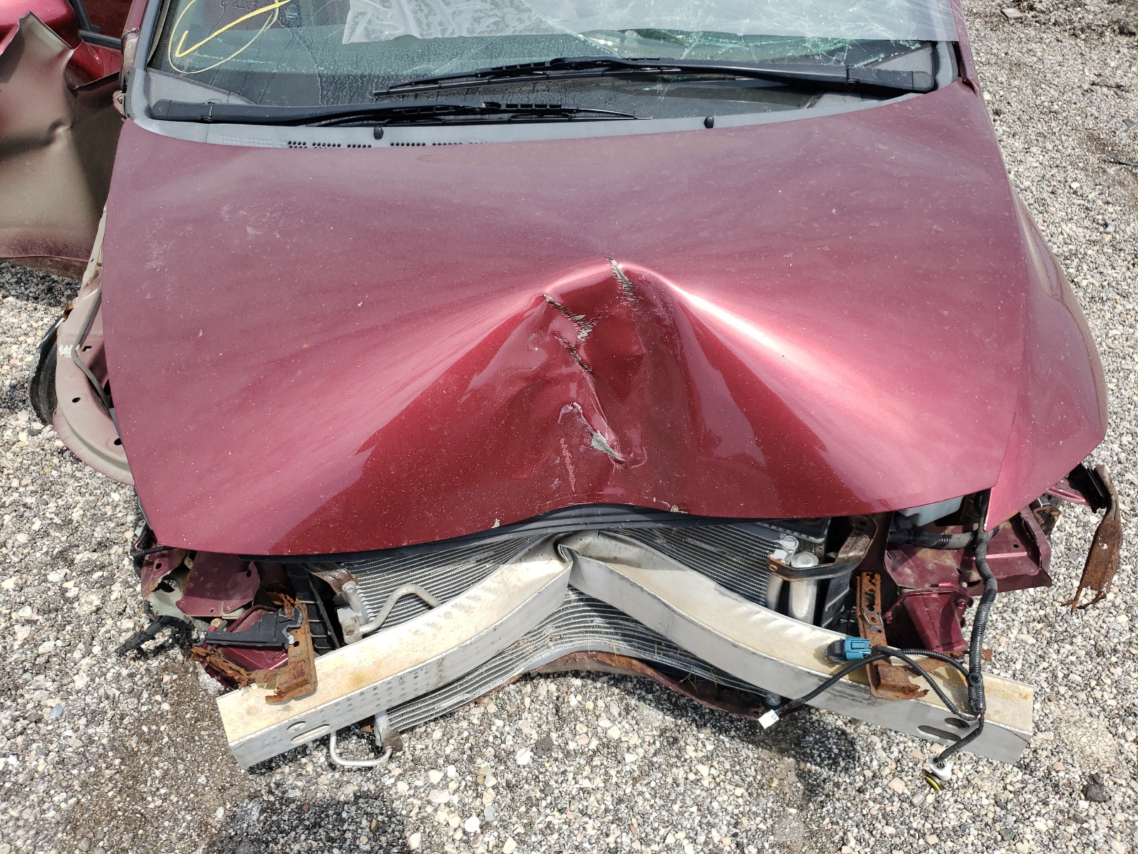 Photo 7 from auction – 2009 HONDA CIVIC LX with VIN 19XFA16569E008060