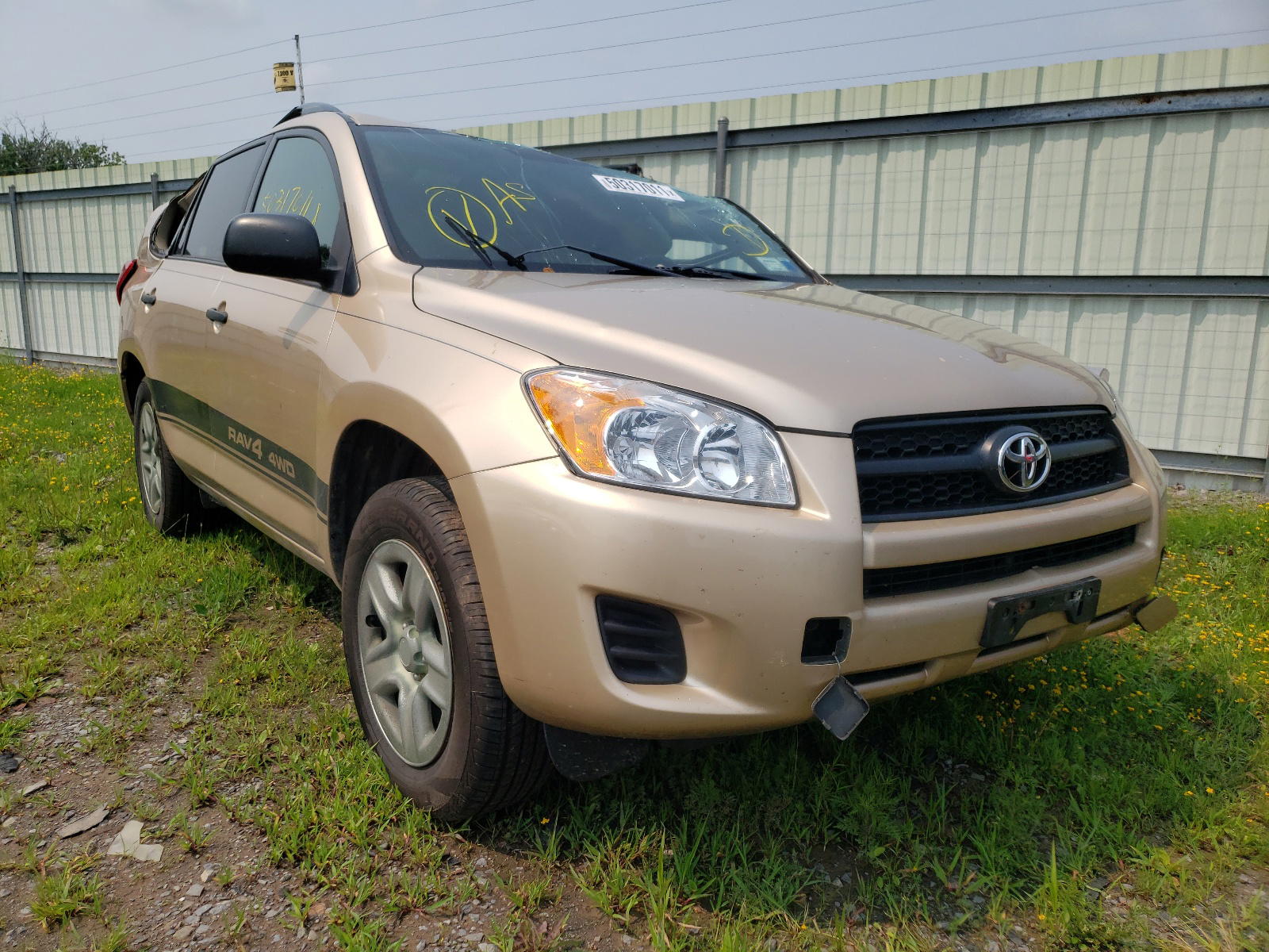 TOYOTA RAV4 2011 with VIN 2T3BF4DV6BW126429 - Photo from auction