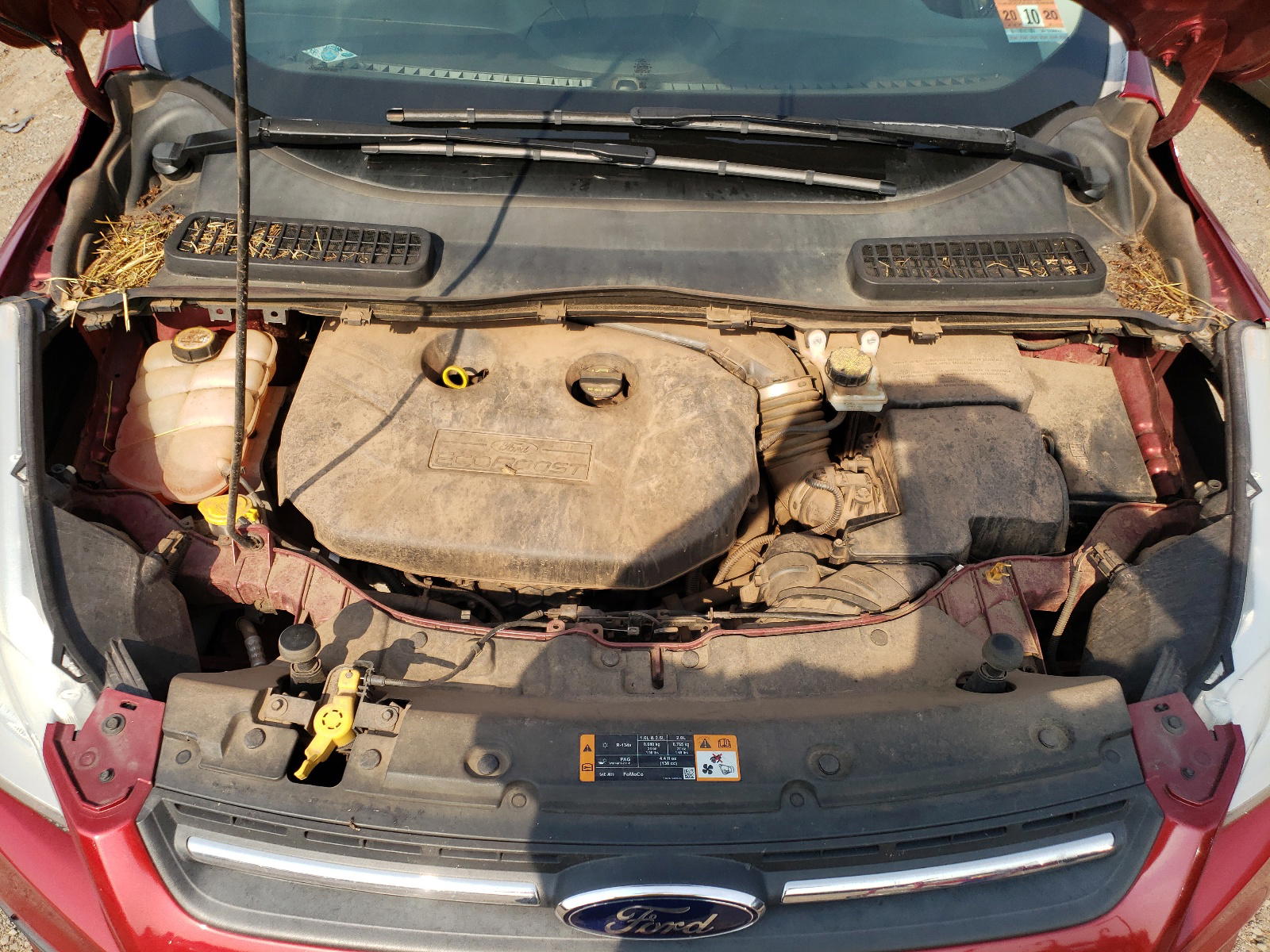 Photo 7 from auction – 2013 FORD ESCAPE SE with VIN 1FMCU9G97DUC98180