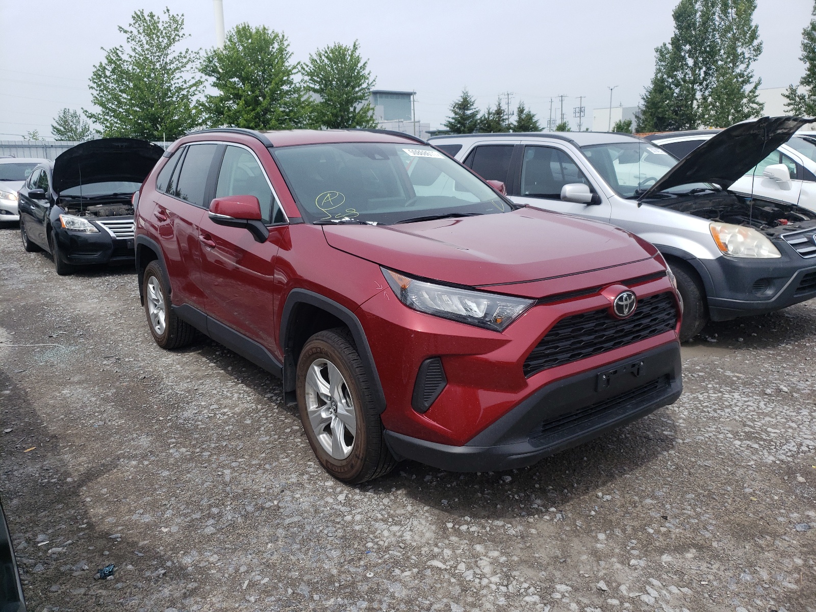 TOYOTA RAV4 LE 2019 with VIN 2T3B1RFV6KC056750 - Photo from auction