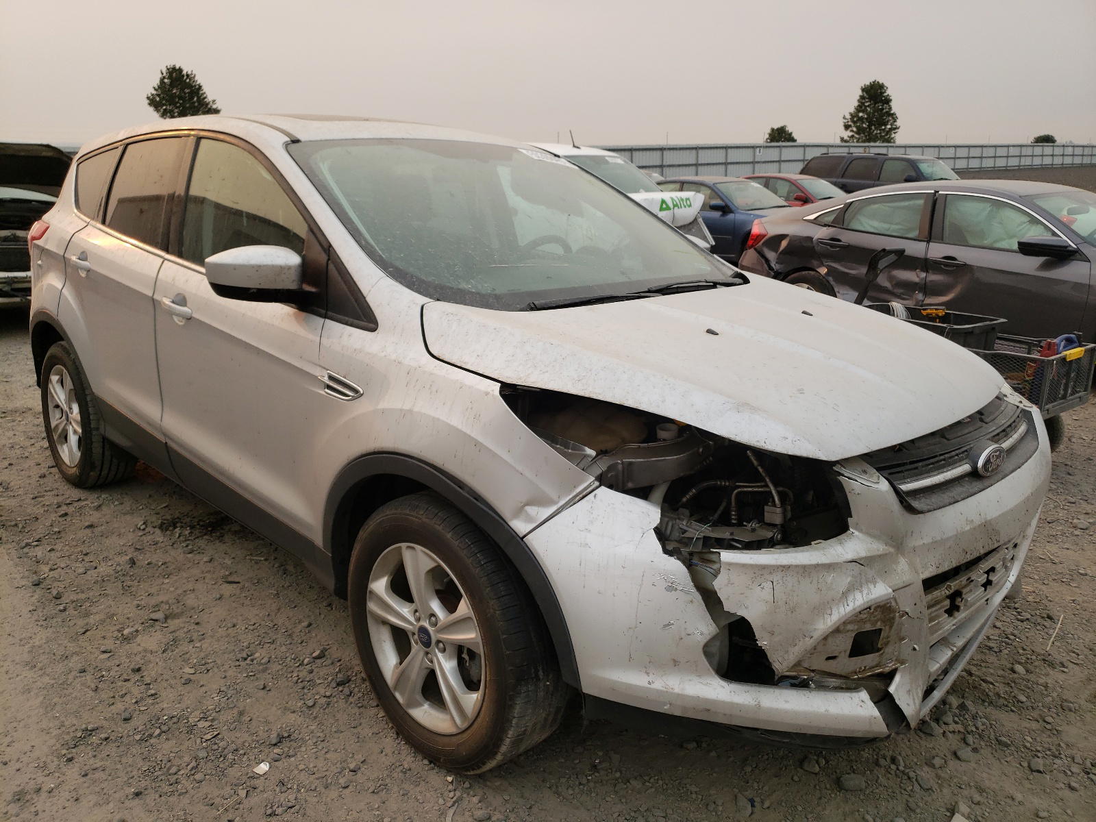 FORD ESCAPE SE 2014 with VIN 1FMCU0G96EUD72895 - Photo from auction