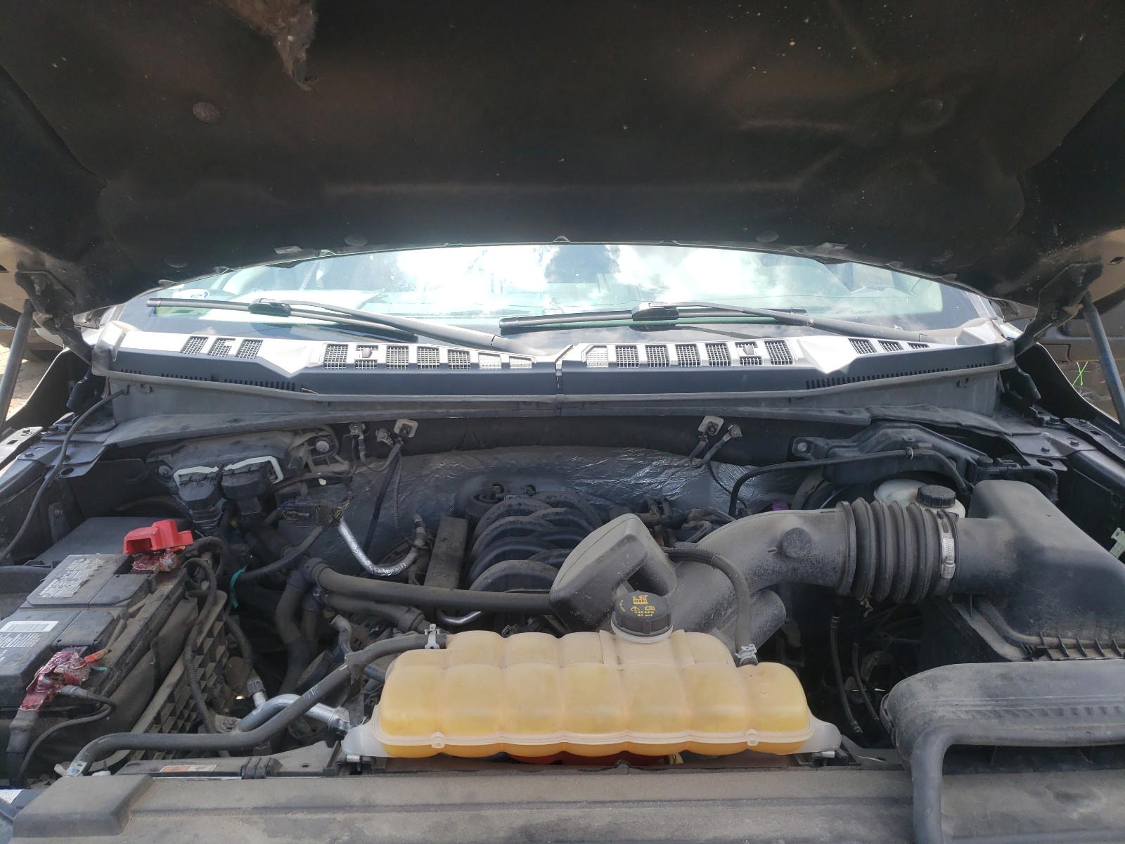 Photo 7 from auction – 2016 FORD F150 SUPER with VIN 1FTEW1EF3GKF78390