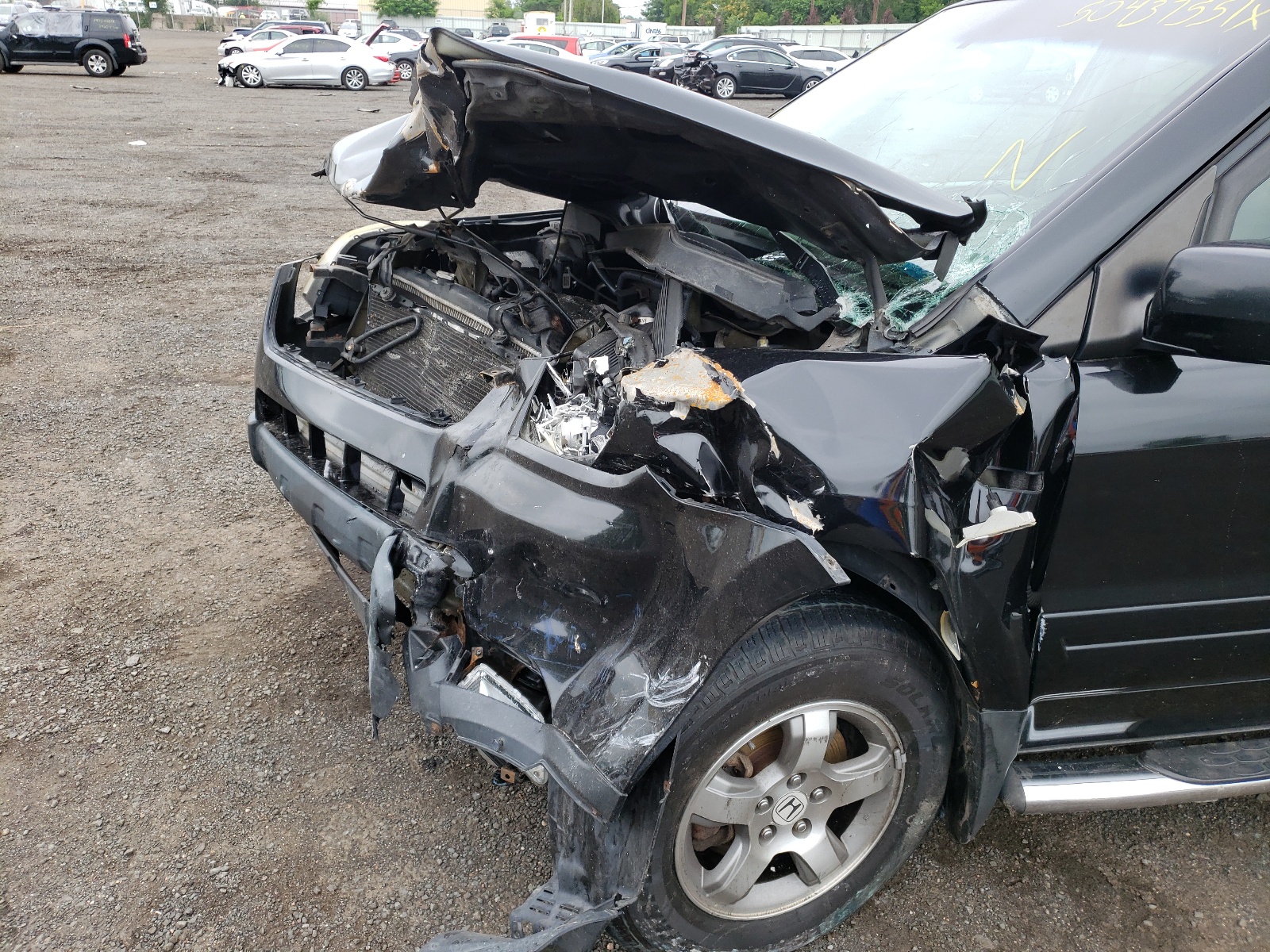 Photo 9 from auction – 2007 HONDA PILOT EXL with VIN 2HKYF18747H523818