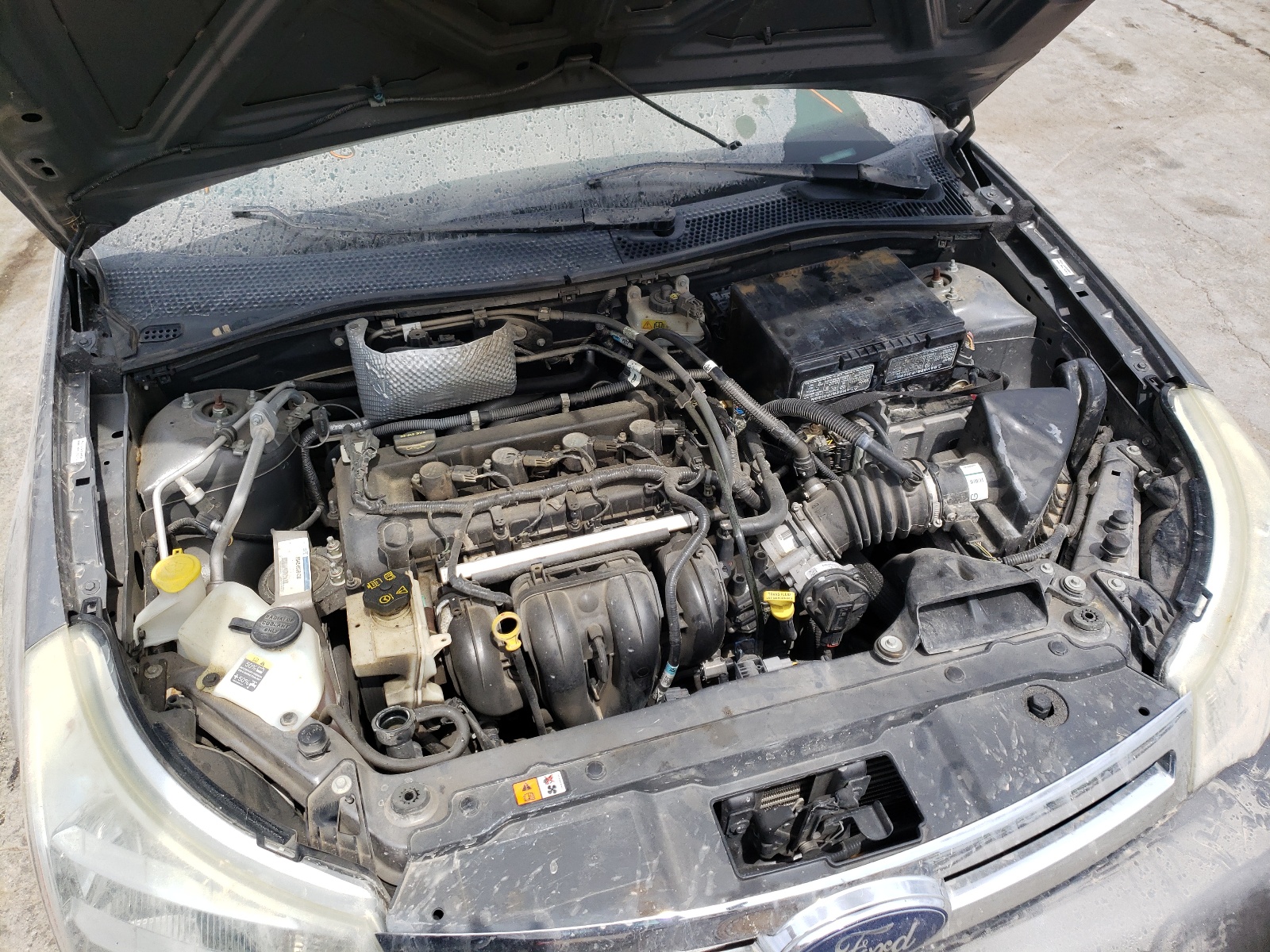 Photo 7 from auction – 2010 FORD FOCUS SEL with VIN 1FAHP3HN7AW184101